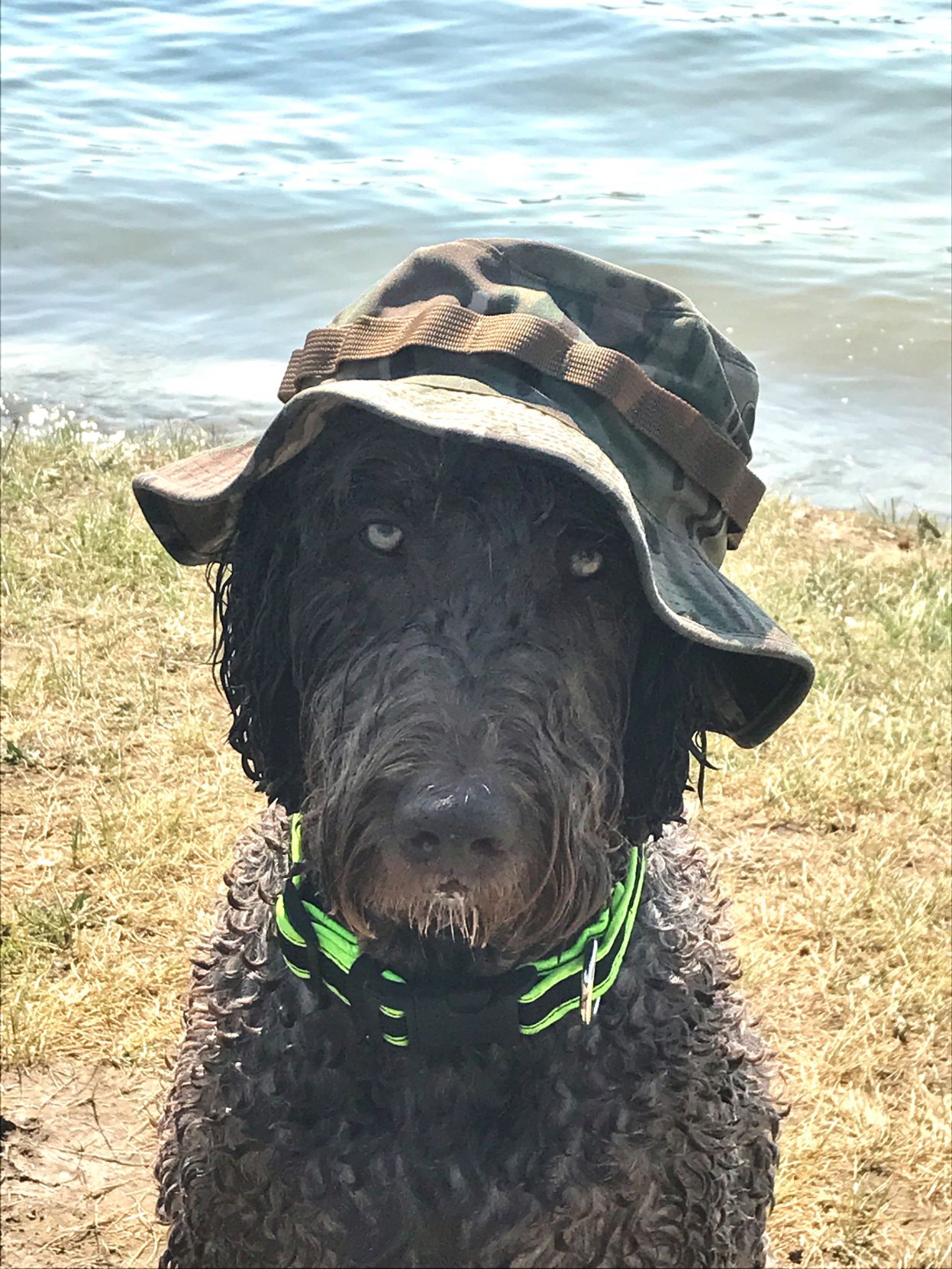 A day at the lake